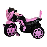 Super Smart Tricycle Bike Bullet with Push Pandel and Parental Control Handle Capacity Upto 50kg