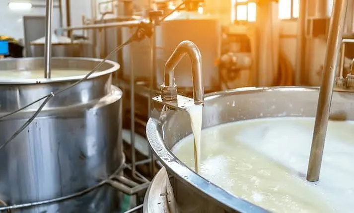 dairy processing plant India